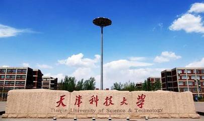 天津科技大学2021年美术类专业分数线