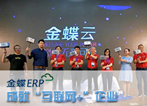 天津金蝶软件开发,极云科技您的管理专家