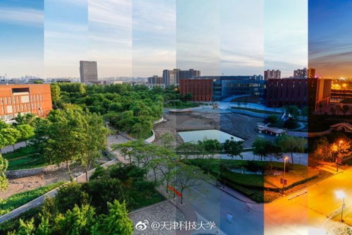 美丽校园我参与之天津科技大学