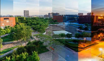 蹦床回家之路 天津科技创新助力全民健身新风尚